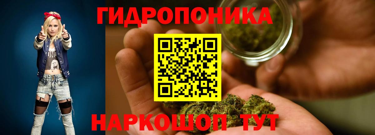 МАРИХУАНА конопля  Шишки марихуана планчик  МАРИХУАНА THC 21%  Вход с VPN  Богданович  Марихуана индика 